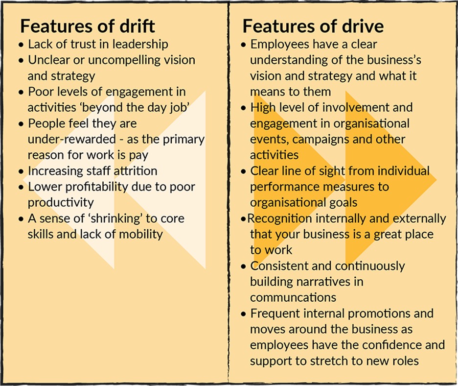 Two roads diverging, illustrating an organization shifting from drift to drive